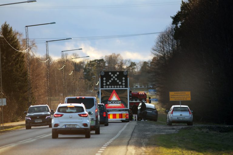 Nattens polisrapport: Viltolyckor och trafikbrott i Norrbotten