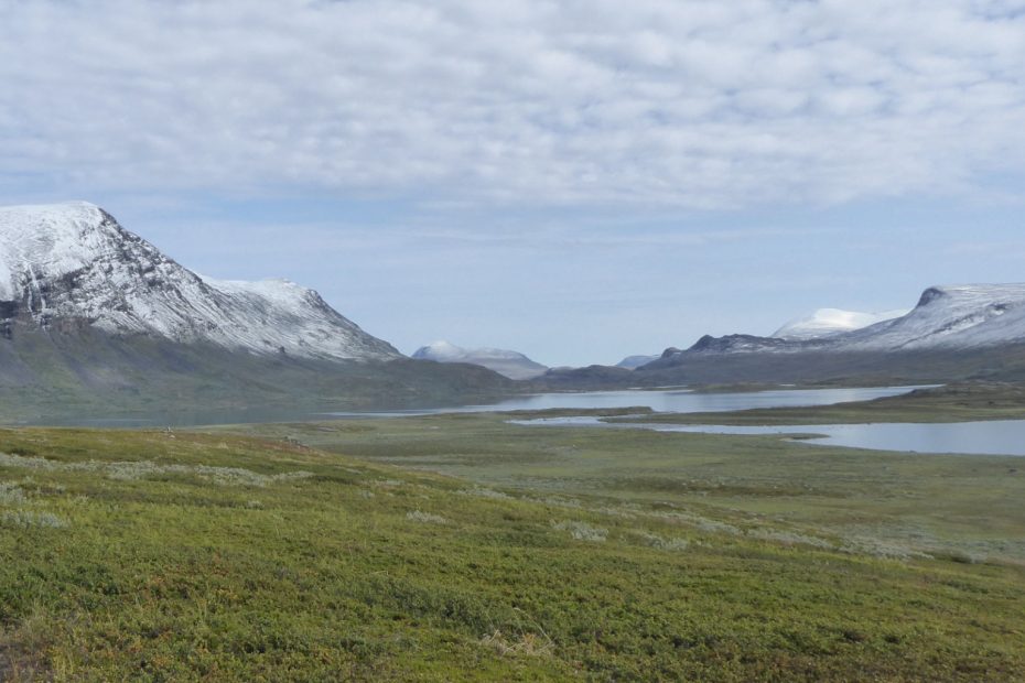 Fjället