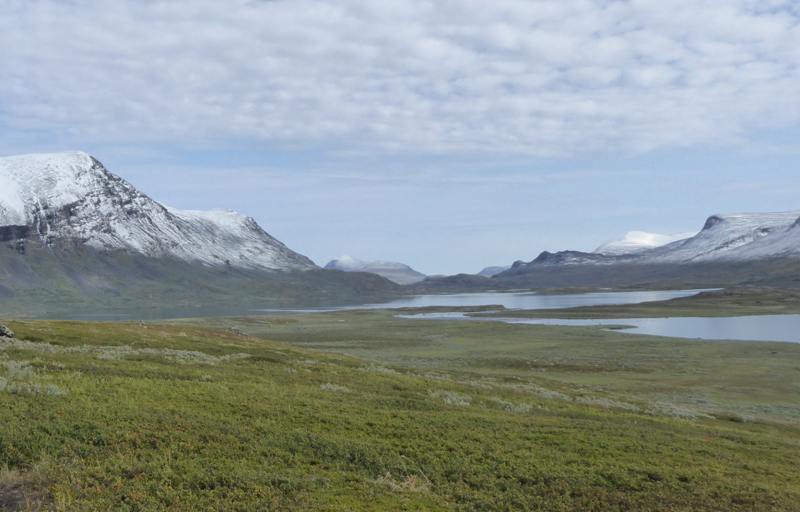 Fjället