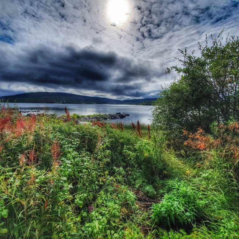 JK: Rennäringslagen tillämpas i tvist om fjälljakt