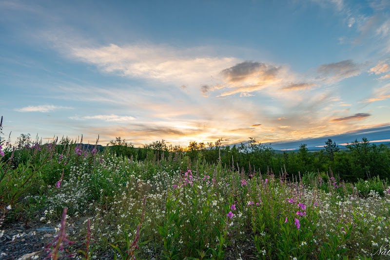 Kiruna inför 35‑timmars arbetsvecka för omsorgspersonal