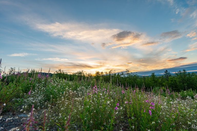 LKAB: utsläpp lägre än dricksvatten enligt företaget